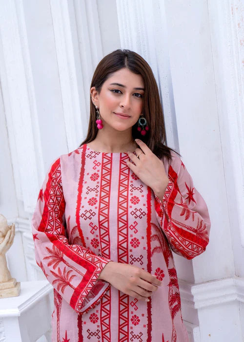 Staple Doria 2 Piece – Pink & Red Printed Suit with Ethnic Design